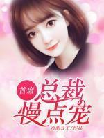 首席總裁，慢點寵