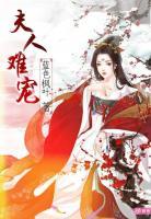 夫人難寵