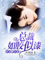 總裁如膠似漆：嬌妻哪里逃？