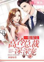 一胎雙寶：高冷總裁深深寵