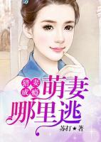 獵妻成癮：萌妻哪里逃