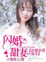 閃婚甜妻，迷糊老婆太難寵