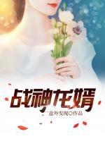 戰(zhàn)神龍婿