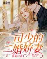 司少的二婚嬌妻