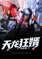 天龍狂婿