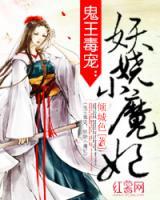 冷王毒寵小魔妃