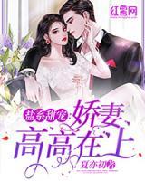鹽系甜寵：嬌妻高高在上