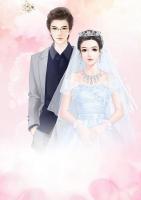 一不小心閃婚了