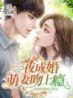 一夜成婚，萌妻吻上癮