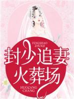 封少追妻火葬場