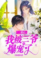 二婚后我被三爺爆寵了