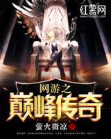 網(wǎng)游之巔峰傳奇