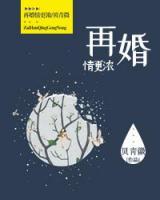 再婚情更濃