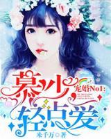慕少寵婚NO1