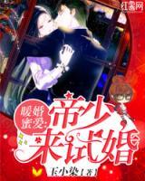暖婚蜜愛(ài)：帝少，來(lái)試婚