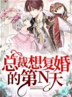 總裁想復(fù)婚的第N天