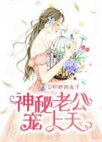 神秘老公寵上天