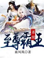 至尊霸王系統(tǒng)