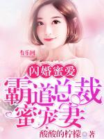 閃婚蜜愛：霸道總裁蜜寵妻