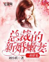 閃婚甜寵：總裁的新婚嬌妻