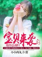 寶貝來襲，抱得總裁歸