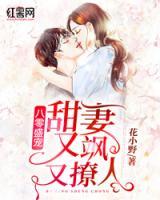 八零盛寵：甜妻又颯又撩人