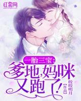 一胎三寶：爹地，媽咪又跑了！