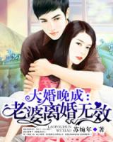 大婚晚成：老婆離婚無效