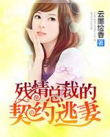 總裁的逃妻