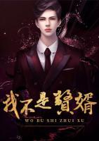 我不是贅婿