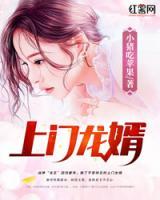 龍婿臨門