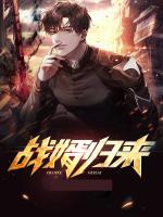 戰(zhàn)婿歸來