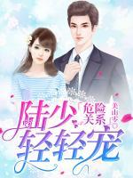 危險關(guān)系：陸少輕輕寵