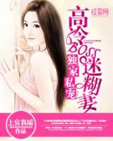 獨(dú)家私寵：高冷BOSS迷糊妻