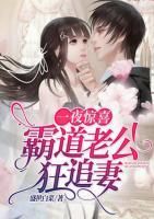 一夜驚喜：霸道老公狂追妻