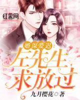 婚深愛遲：左先生，別來無恙