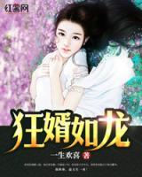 狂婿如龍
